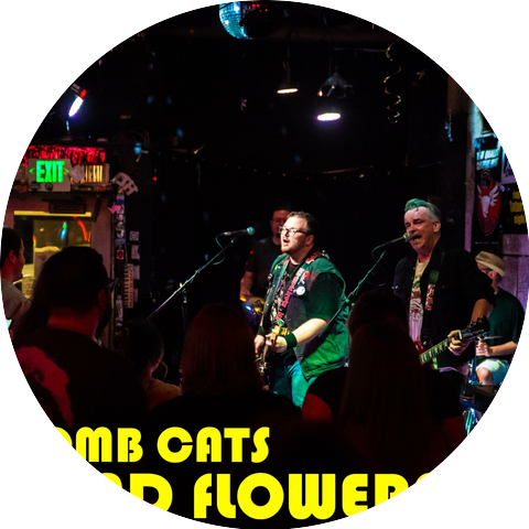 Bomb Cats