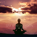 Estudar Música and Relaxed and Peaceful Zen Music