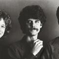 Uncle Walt's Band