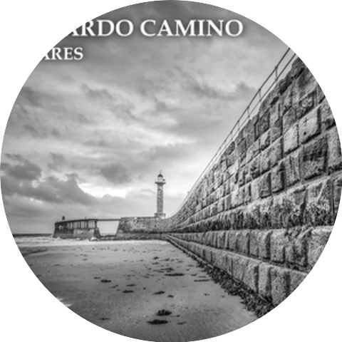 Ricardo Camino
