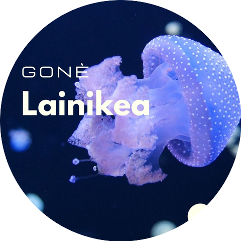 GONE'