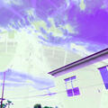 Somni