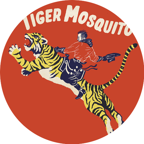 Tiger Mosquito