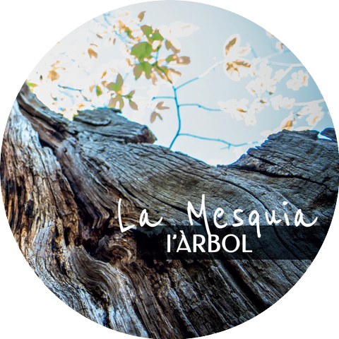La Mesquia