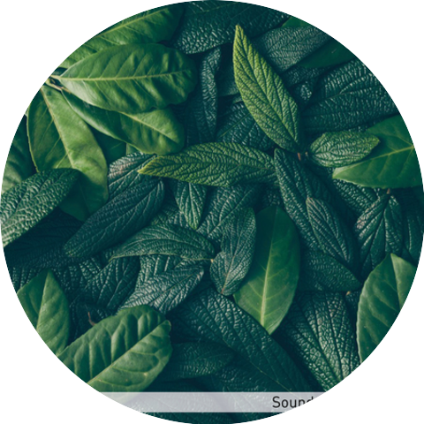 Détente Et Relaxation Avec Des Sons De La Nature