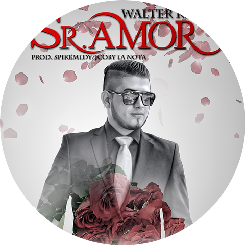 Walter RZ