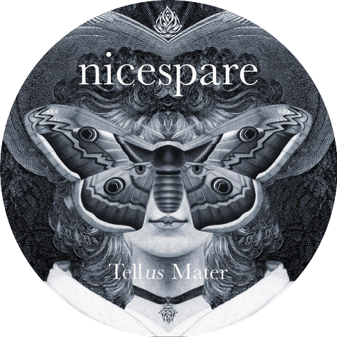 Nicespare