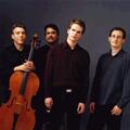 Turtle Island Quartet
