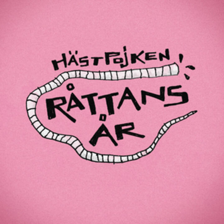 Hästpojken