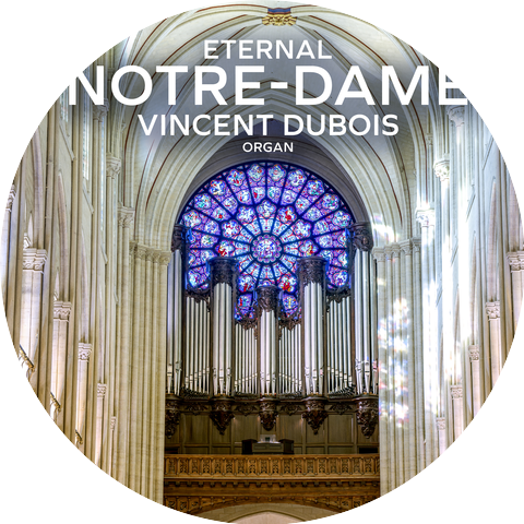 Vincent Dubois