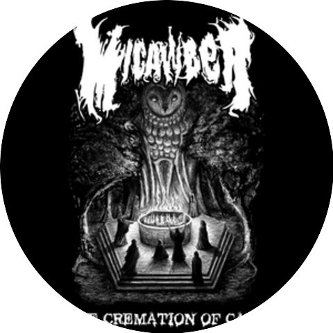 Micawber