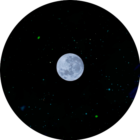 Dreamwallow