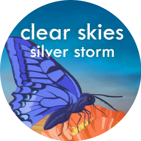 Silver Storm