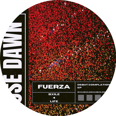 Rose Dawn