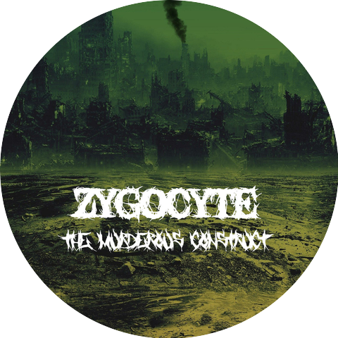 Zygocyte