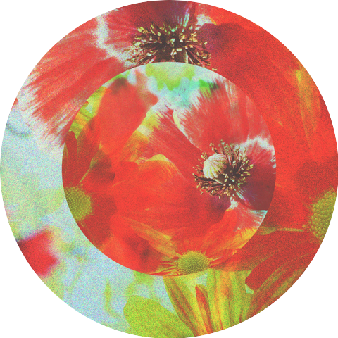 Pold X 92elm