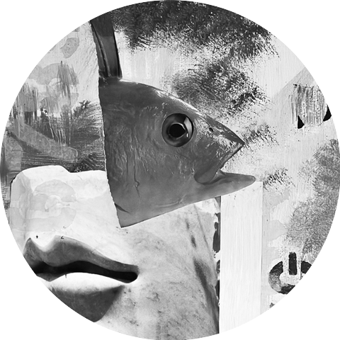 Chiefus