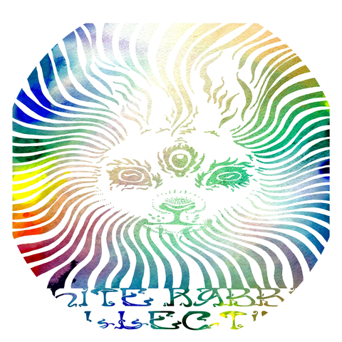 White Rabbit Collective