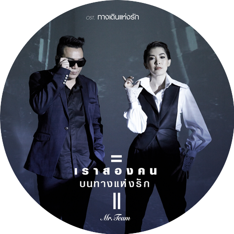 มิสเตอร์ทีม