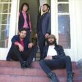 The Bloodhounds