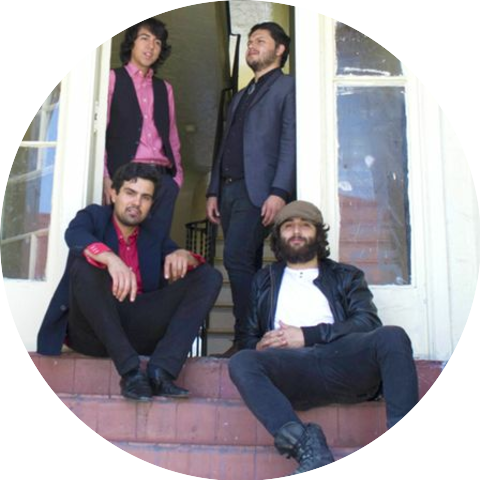 The Bloodhounds