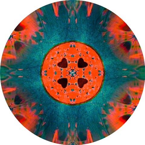 Draco Wave