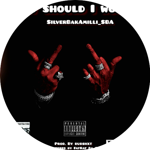 SilverBakAmilli_sba