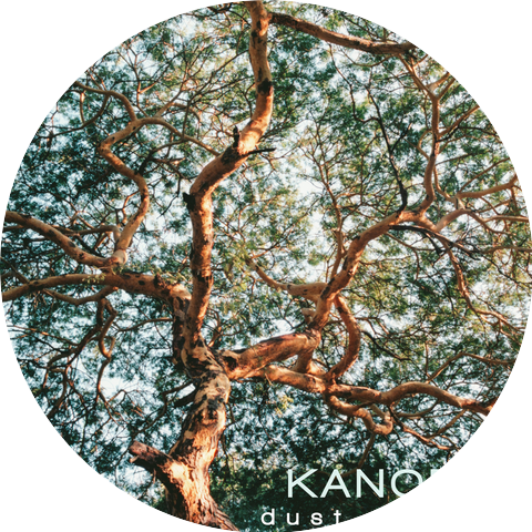 Kanopy