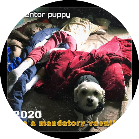 Inventor Puppy