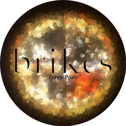 Brikcs