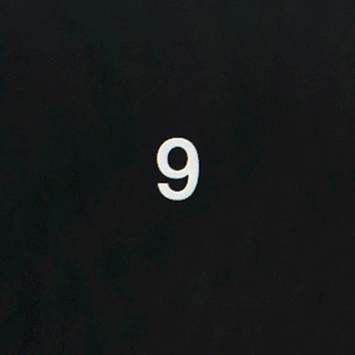 Cashmere Cat & Ariana Grande