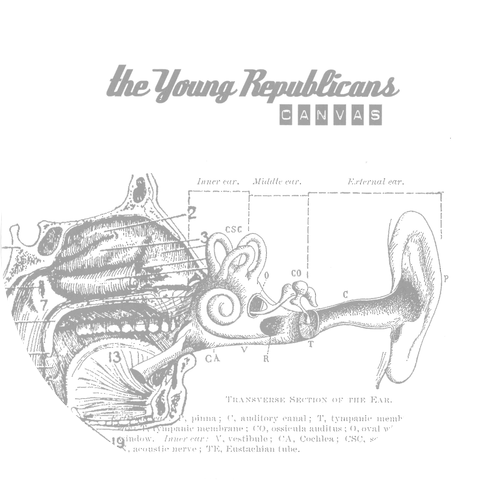 The Young Republicans