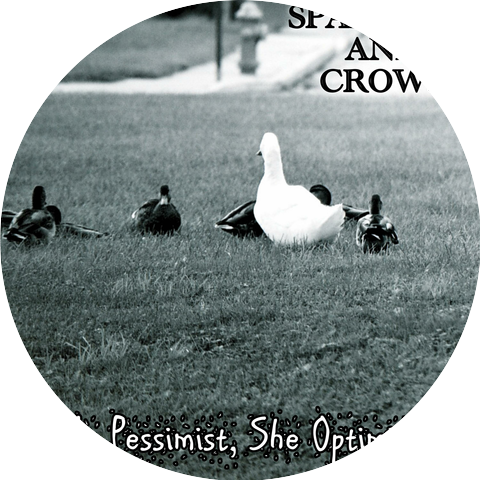 Sparrows and Crows