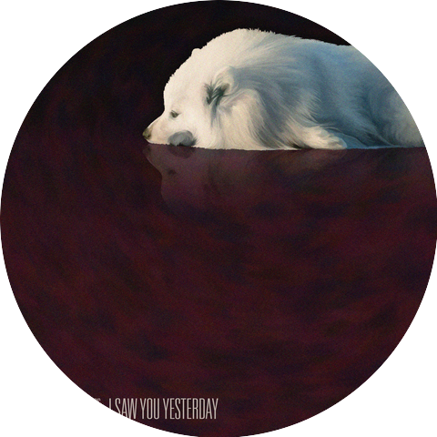 I Saw You Yesterday