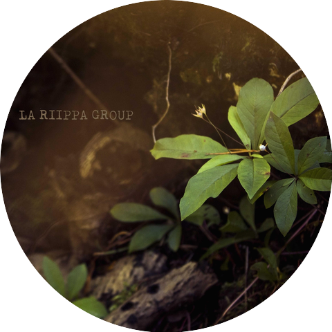 La Riippa Group