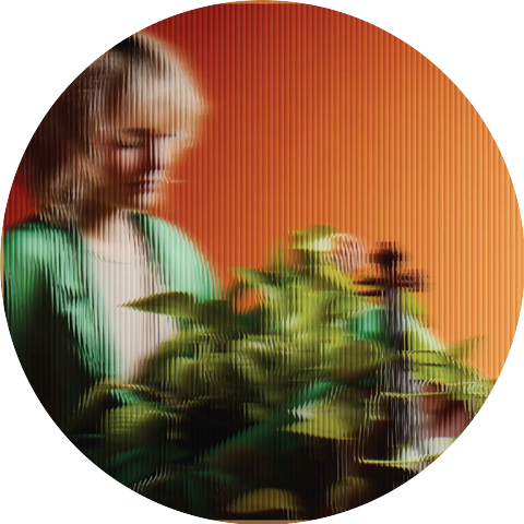 Annie Leeth