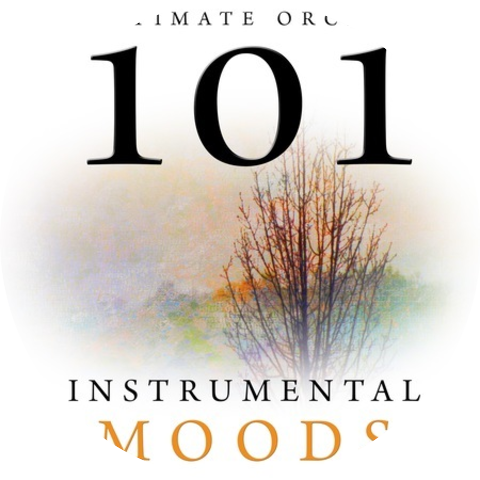The Intimate Orchestra