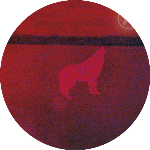 Ghost Dance Collective