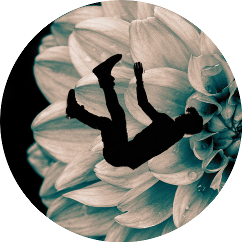 Blossomoon