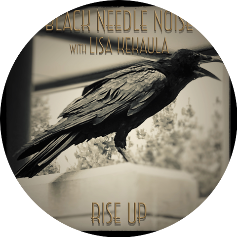 Black Needle Noise