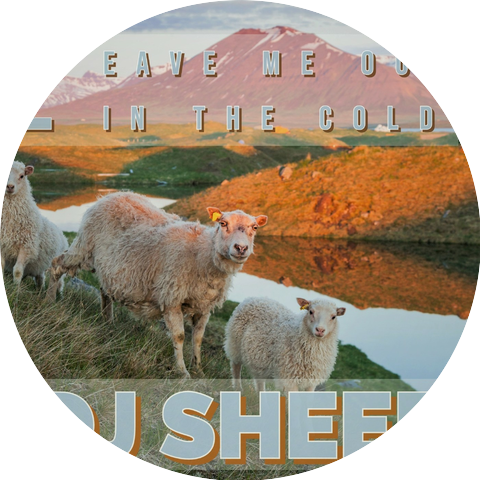 Dj Sheep