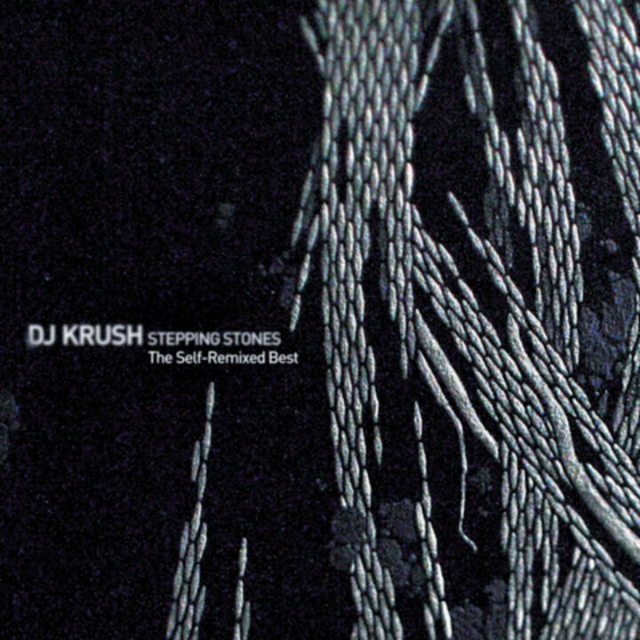 DJ Krush with DJ Shadow