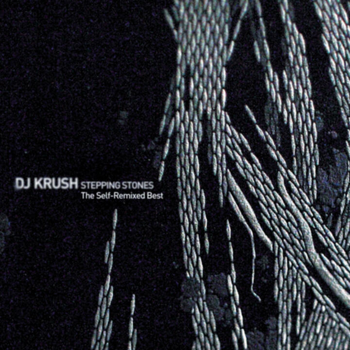DJ Krush with C.L. Smooth