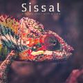 Sissal