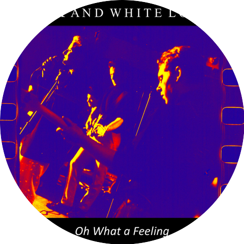 Black and White Lovers