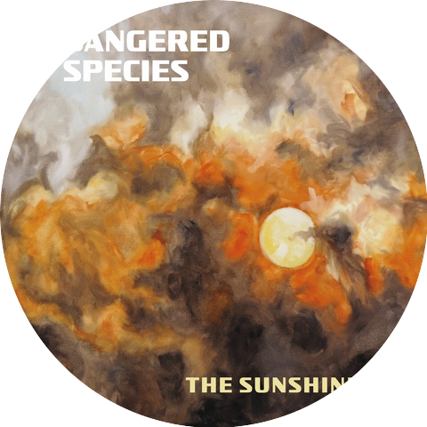 Sunshiners