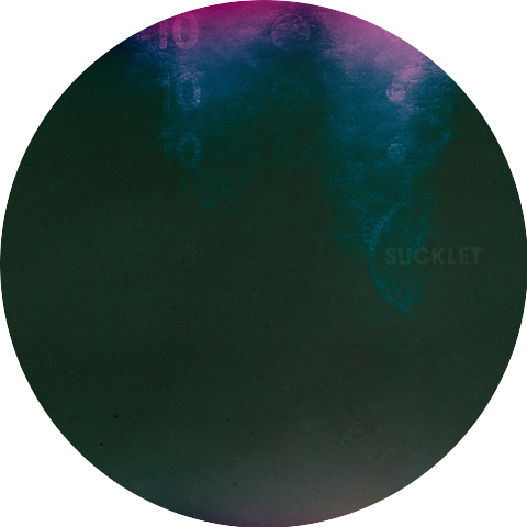 Sucklet