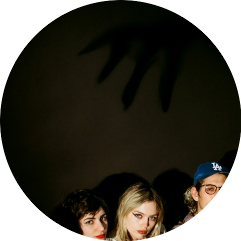 The Paranoyds