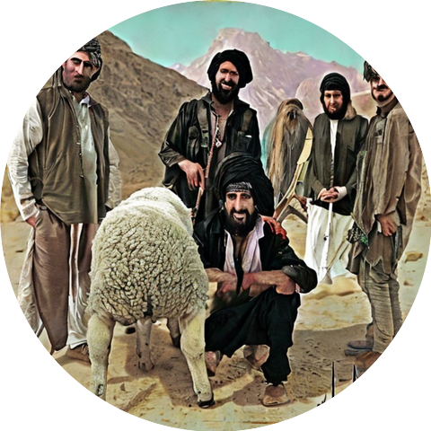 Lil Taliban