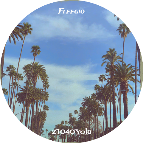 Z1040yola